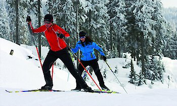 Bodenmais im Bayerischen Wald